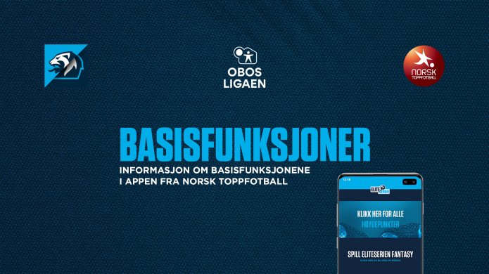 Basisfunksjoner
